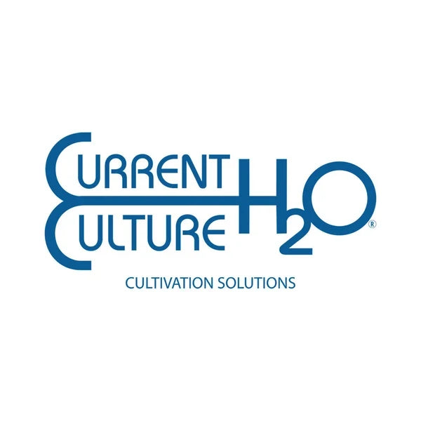 Current Culture H20