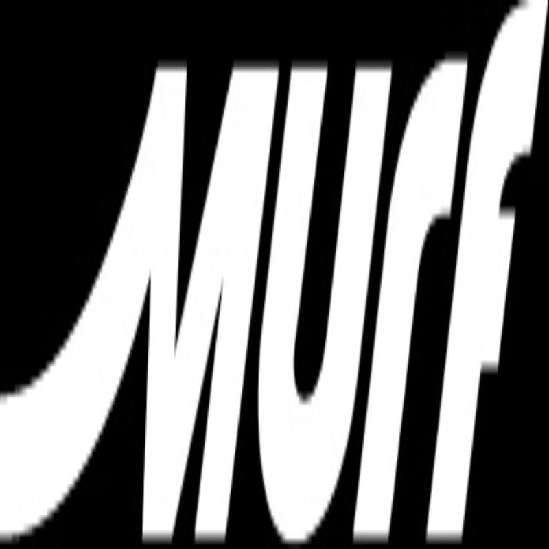 Murf Electric Bikes
